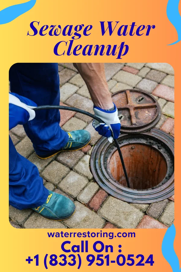 Sewage Water Cleanup in Mound Station, IL