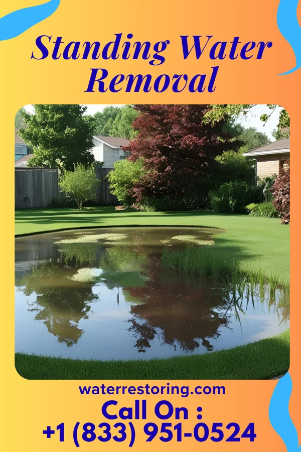 Standing Water Removal in Mound Station, IL